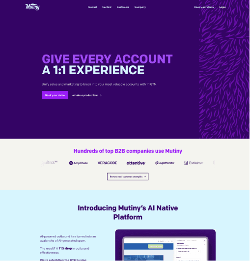 Website image 4